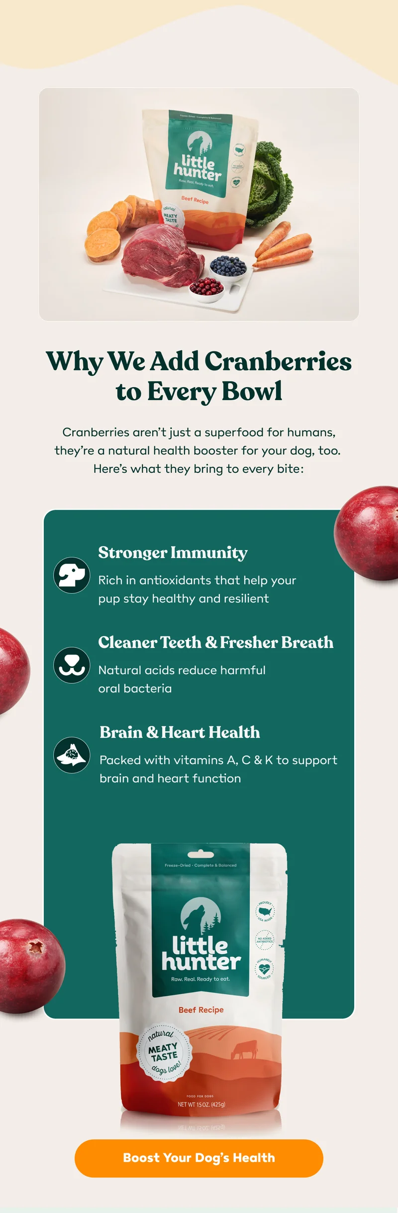 Cranberries support your dog's health!