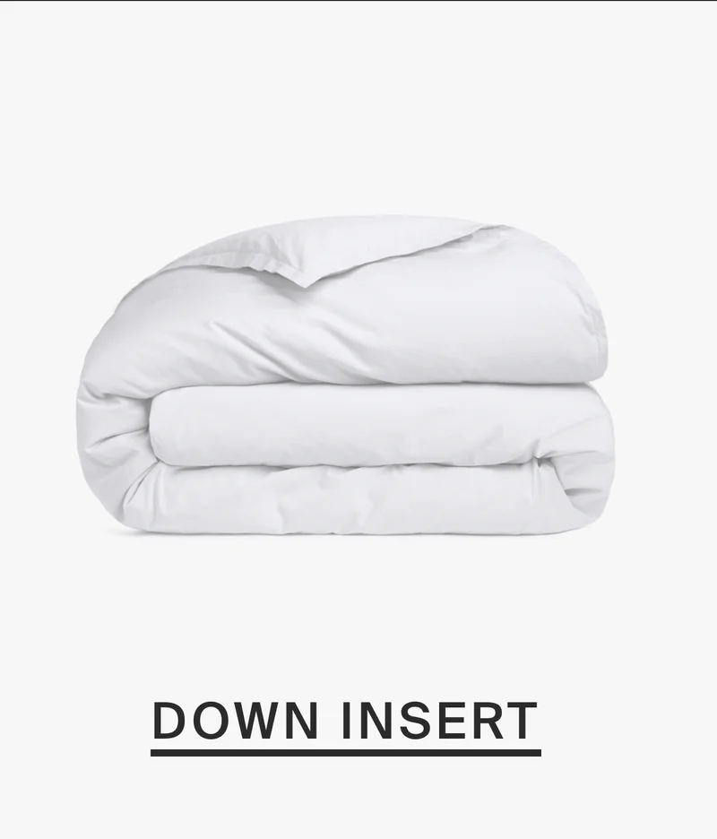 Down Duvet Insert