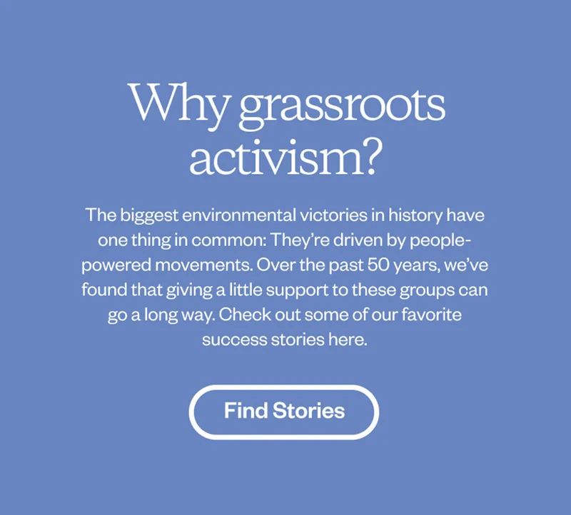 Why grassroots activism? The biggest environmental victories in history have one thing in common: They’re driven by people-powered movements. Over the past 50 years, we’ve found that giving a little support to these groups can go a long way. Check out some of our favorite success stories here.