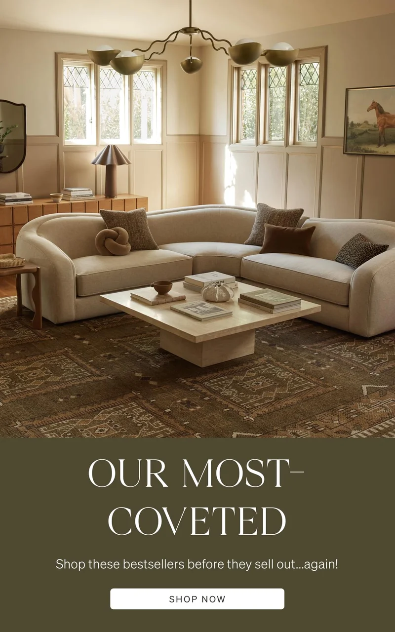 Shop Bestselling Rugs