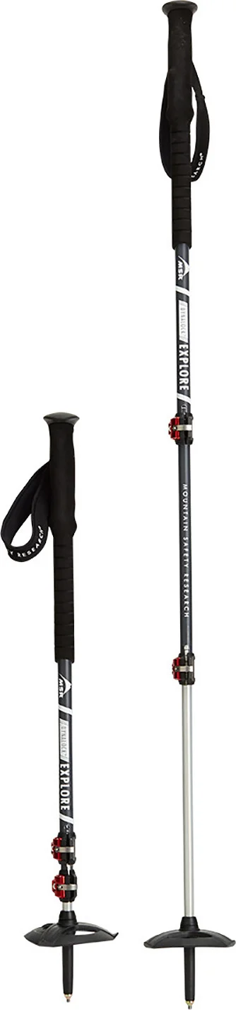 MSR,  DynaLock Explore Backcountry Poles