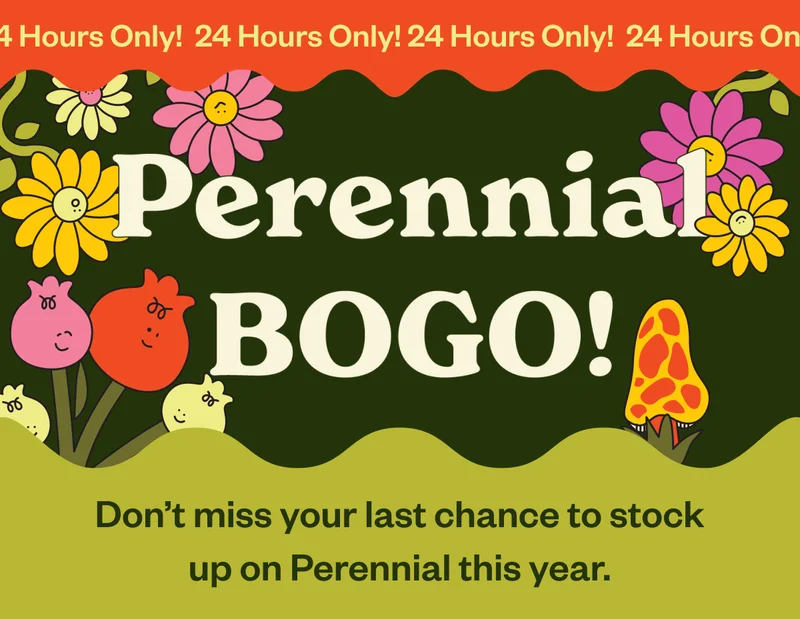 Perennial BOGO! Don't miss your last chance to stock up on Perennial this year. Perennial BOGO! Don't miss your last chance to stock up on Perennial this year.
