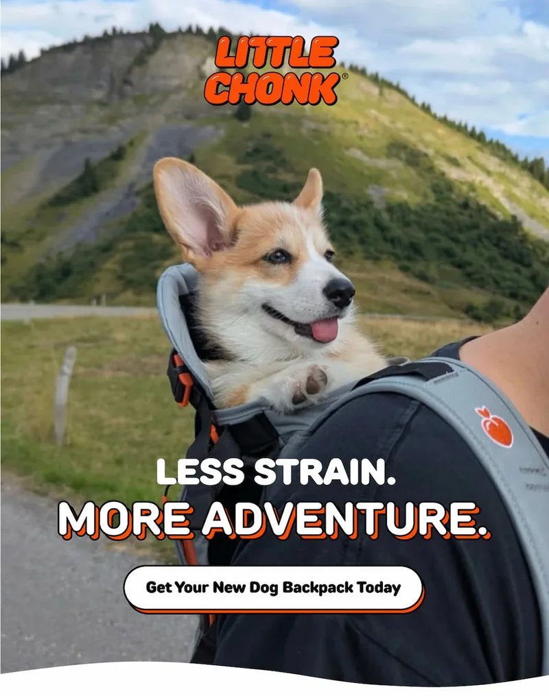 LESS STRAIN. more adventure. MORE ADVENTURE.