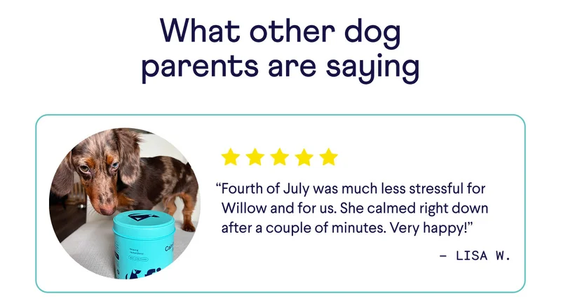 what other dog parents are saying. UGC of dog with review: "Fourth of July was much less stressful for Willow and for us. She calmed right down after a couple of minutes. Very happy!" –&nbsp;Lisa W.