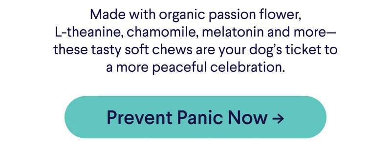 Made with organic passion flower, L-theanine, chamomile, melatonin and more –&nbsp;these tasty soft chews are your dog's tickets to a more peaceful celebration.