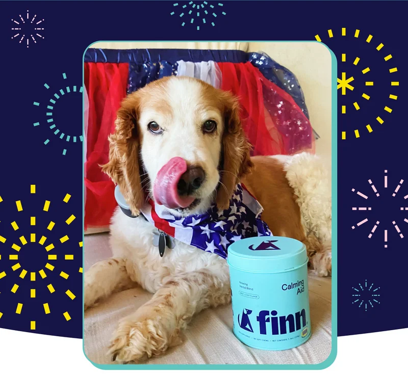 Image of dog wearing an American flag bandana licking its lips and laying beside a tin of Calming Aid.