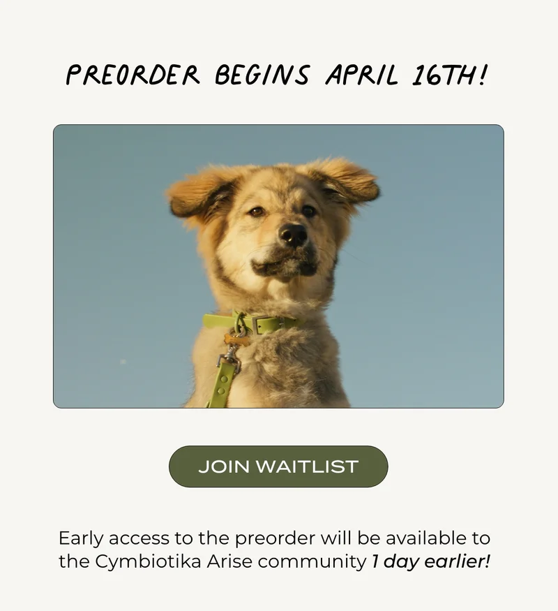 JOIN THE WAITLIST
