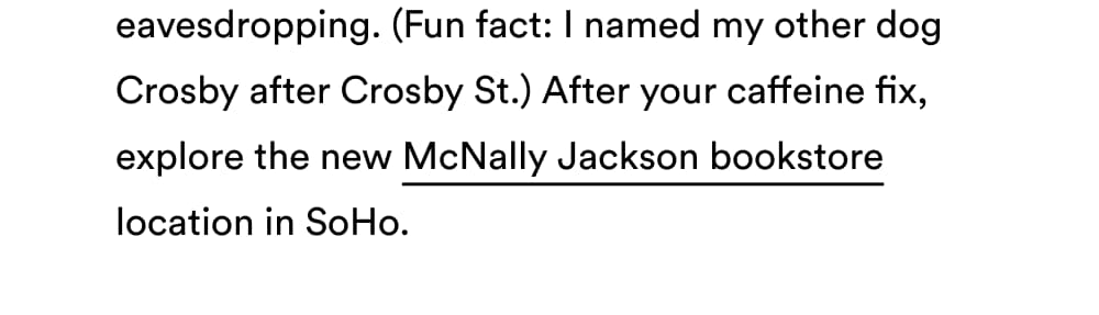 McNally Jackson bookstore