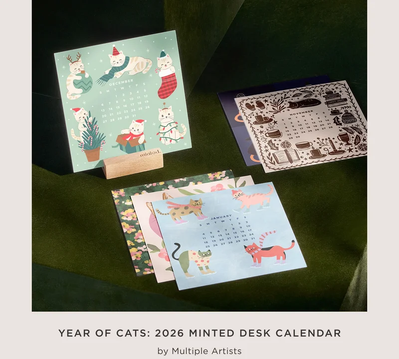 Year of Cats