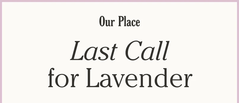Our Place - Last Call for Lavender