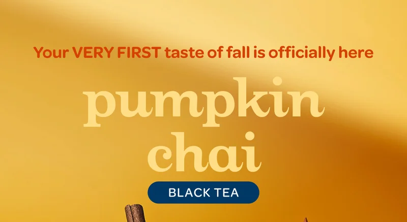 Your very first taste of fall is officially here - Pumpkin Chai