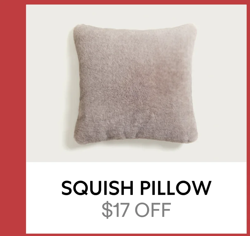 SQUISH PILLOW | $17 OFF SQUISH PILLOW | $17 OFF