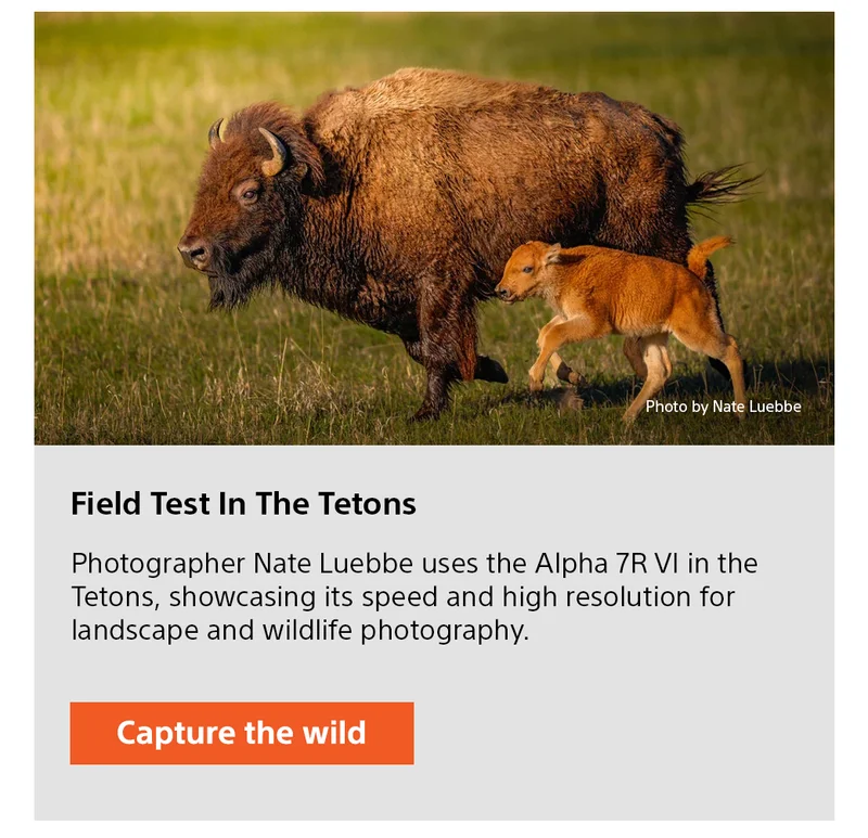 Field Test In The Tetons | Photographer Nate Luebbe uses the Alpha 7R VI in the Tetons, showcasing its speed and high resolution for landscape and wildlife photography. Capture the wild