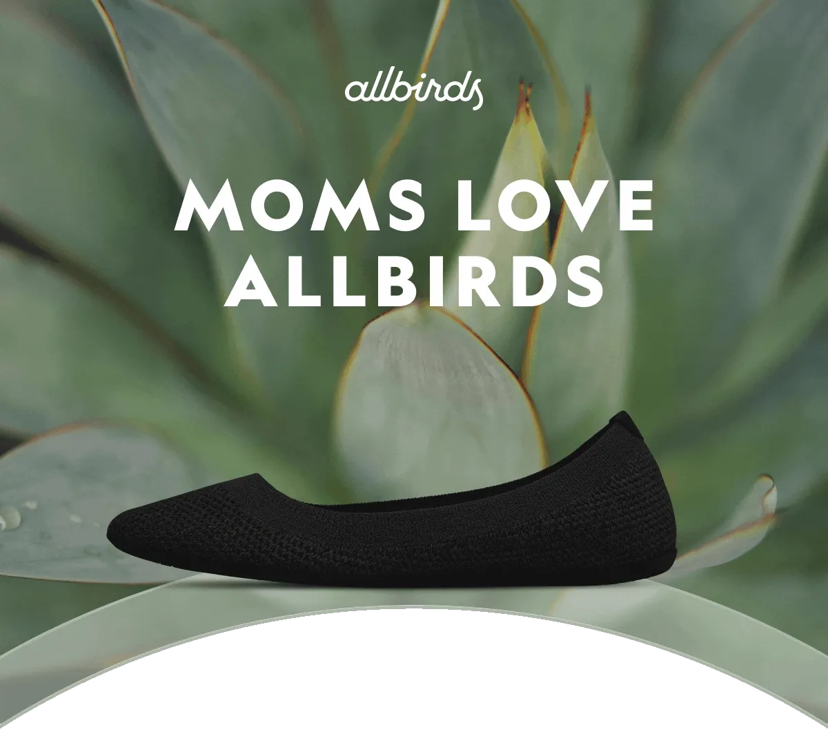 Moms Love Allbirds