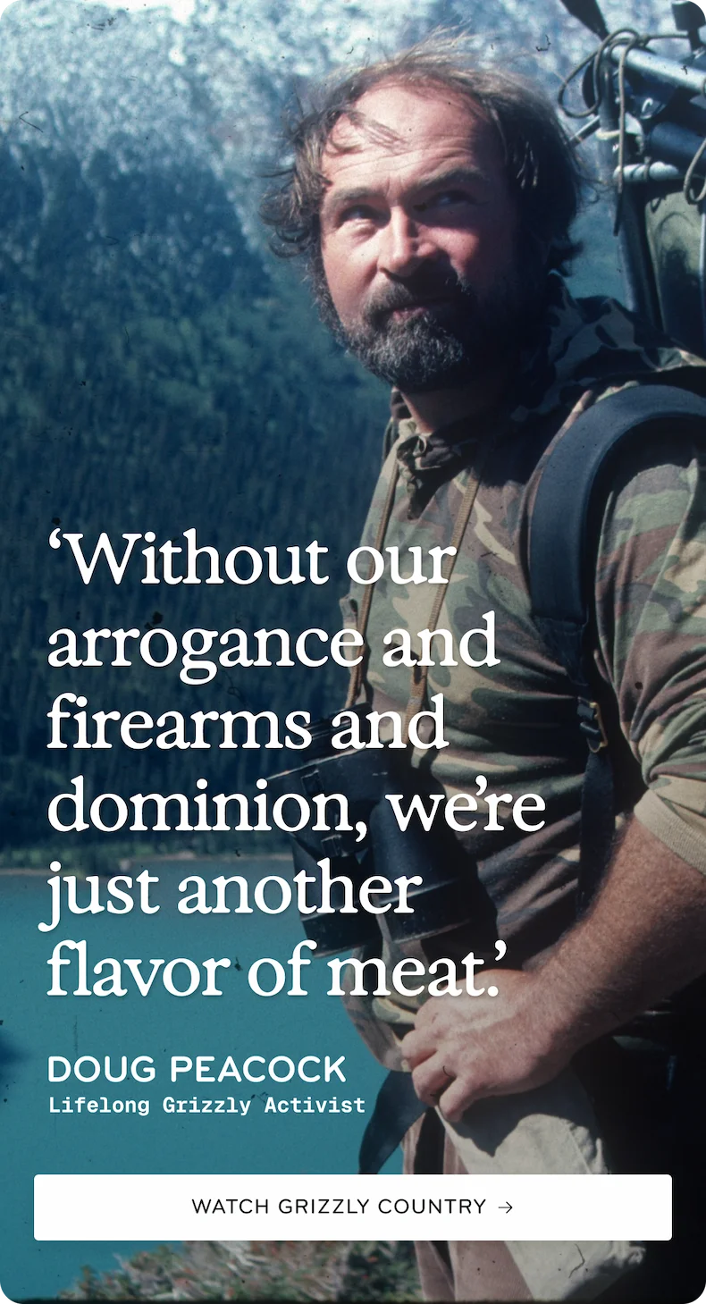Watch Grizzly Country Film
