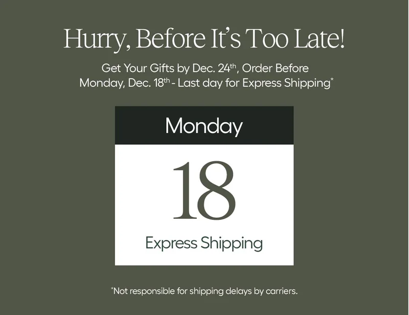 Hurry Before It's Too Late! Get Your Gifts by Dec. 24th, Order Before Monday, Dec. 18th- Last Day for Express Shippng