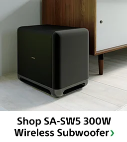 Shop SA-SW5 300W Wireless Subwoofer