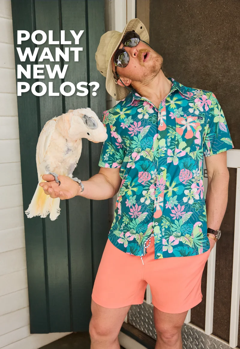 POLLY WANT NEW POLOS?