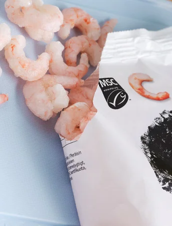 Shrimp