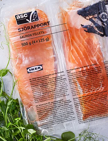 Salmon