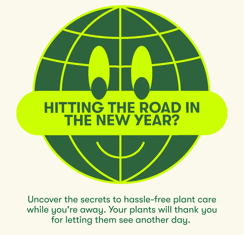 Hitting the road in the new year? Uncover the secrets to hassle-free plant care while you're away. Your plants will thank you for letting them see another day