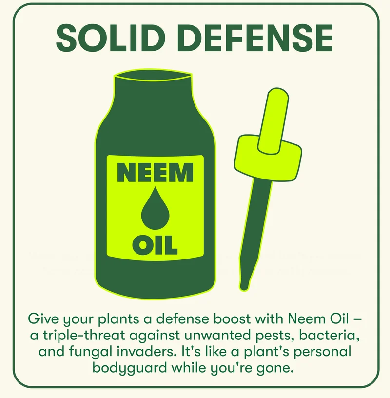 Solid Defense  Give your plants a defense boost with Neem Oil – a triple-threat against unwanted pests, bacteria, and fungal invaders. It's like a plant's personal bodyguard while you're gone