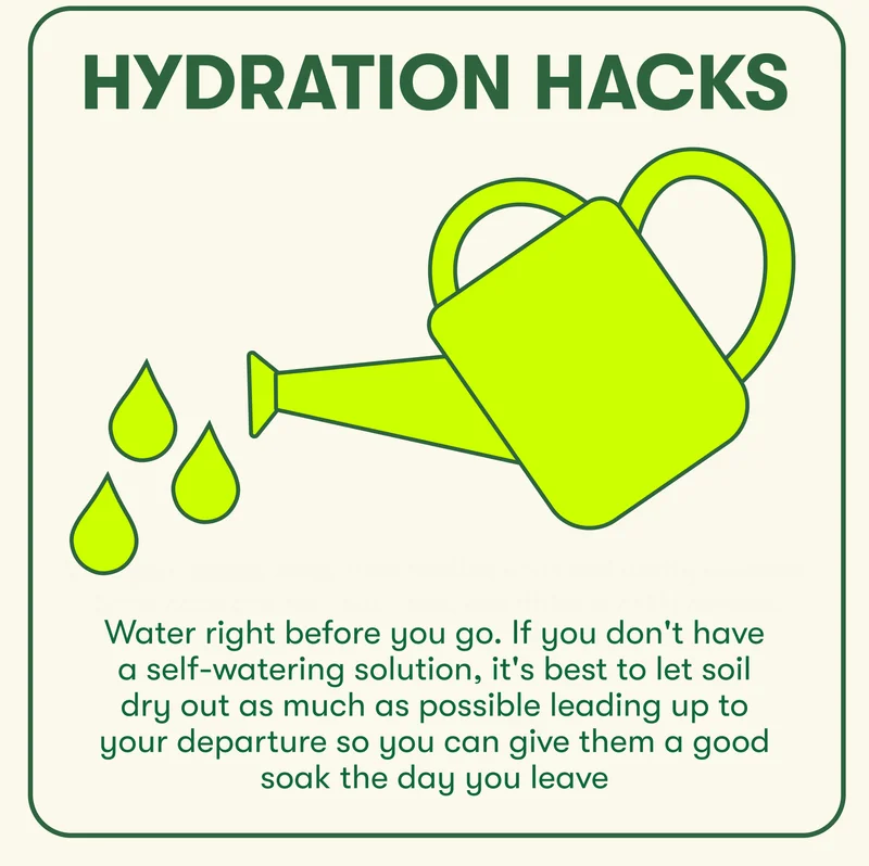 Hydration Hacks: Water right before you go. If you don't have a self-watering solution, it's best to let soil dry out as much as possible leading up tp your departure so you can give them a good soak the day you leave