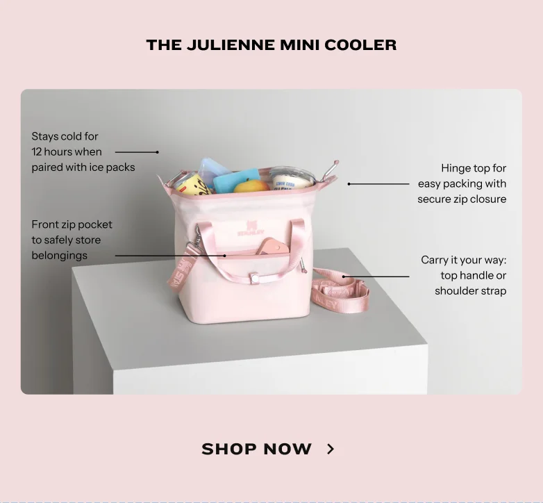 The Julienne Mini Cooler