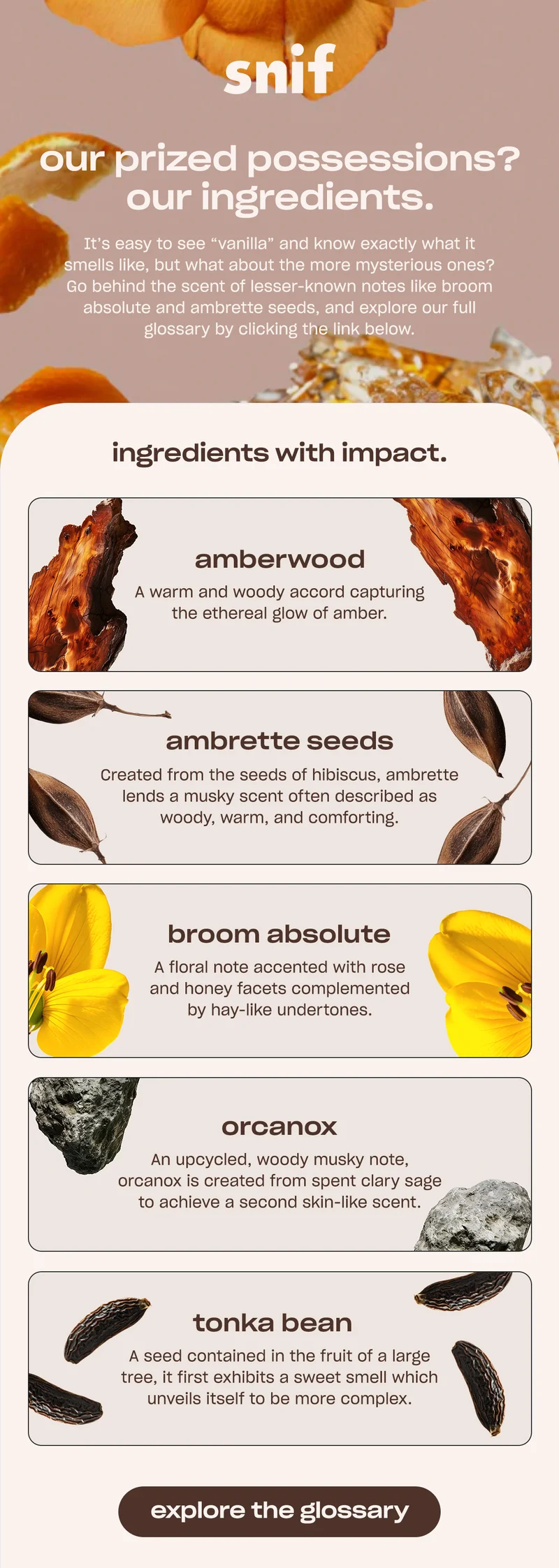 It’s easy to see “vanilla” and know exactly what it smells like, but what about the more mysterious ones? Go behind the scent of lesser-known notes like broom absolute and ambrette seeds, and explore our full glossary by clicking the link below.  [explore the glossary]