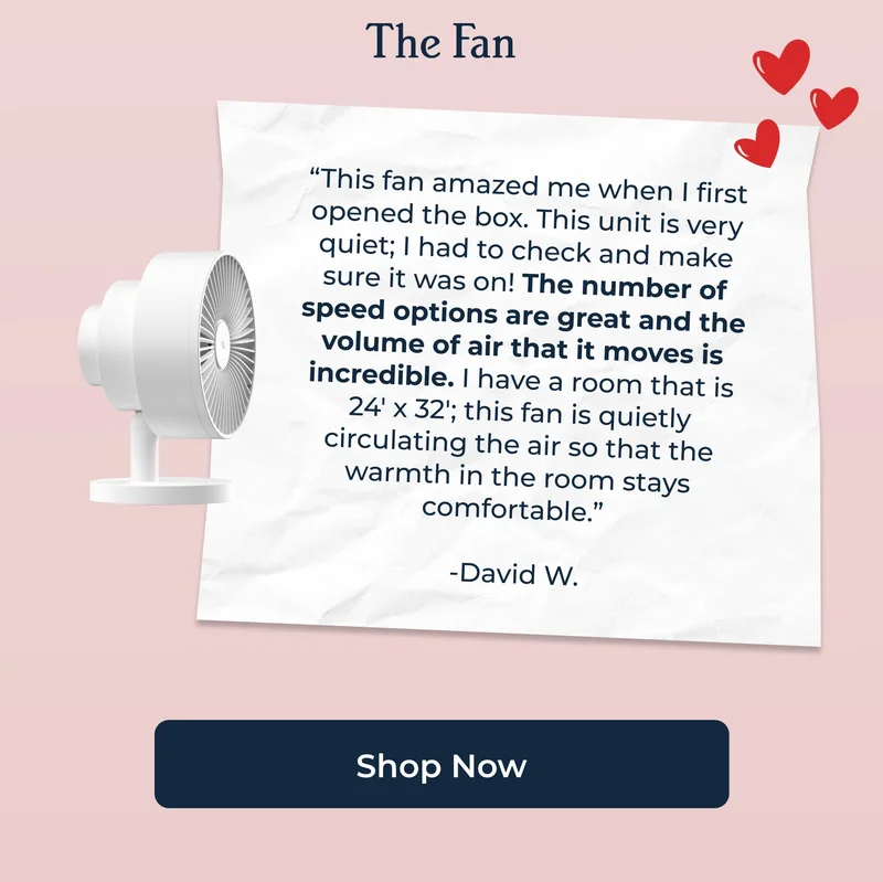 The Fan