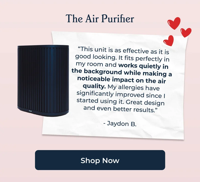 The Air Purifier