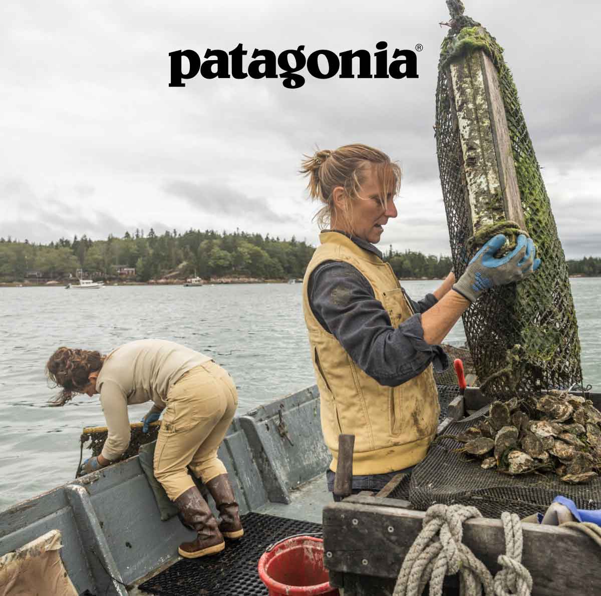 Two people on a boat harvesting oysters.