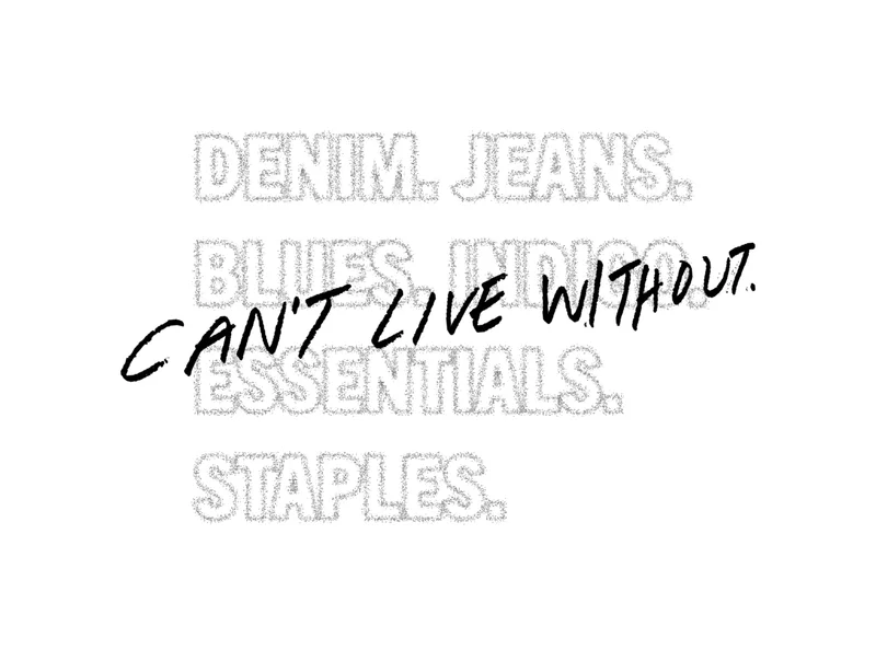 DENIM YOU CAN'T LIVE WITHOUT