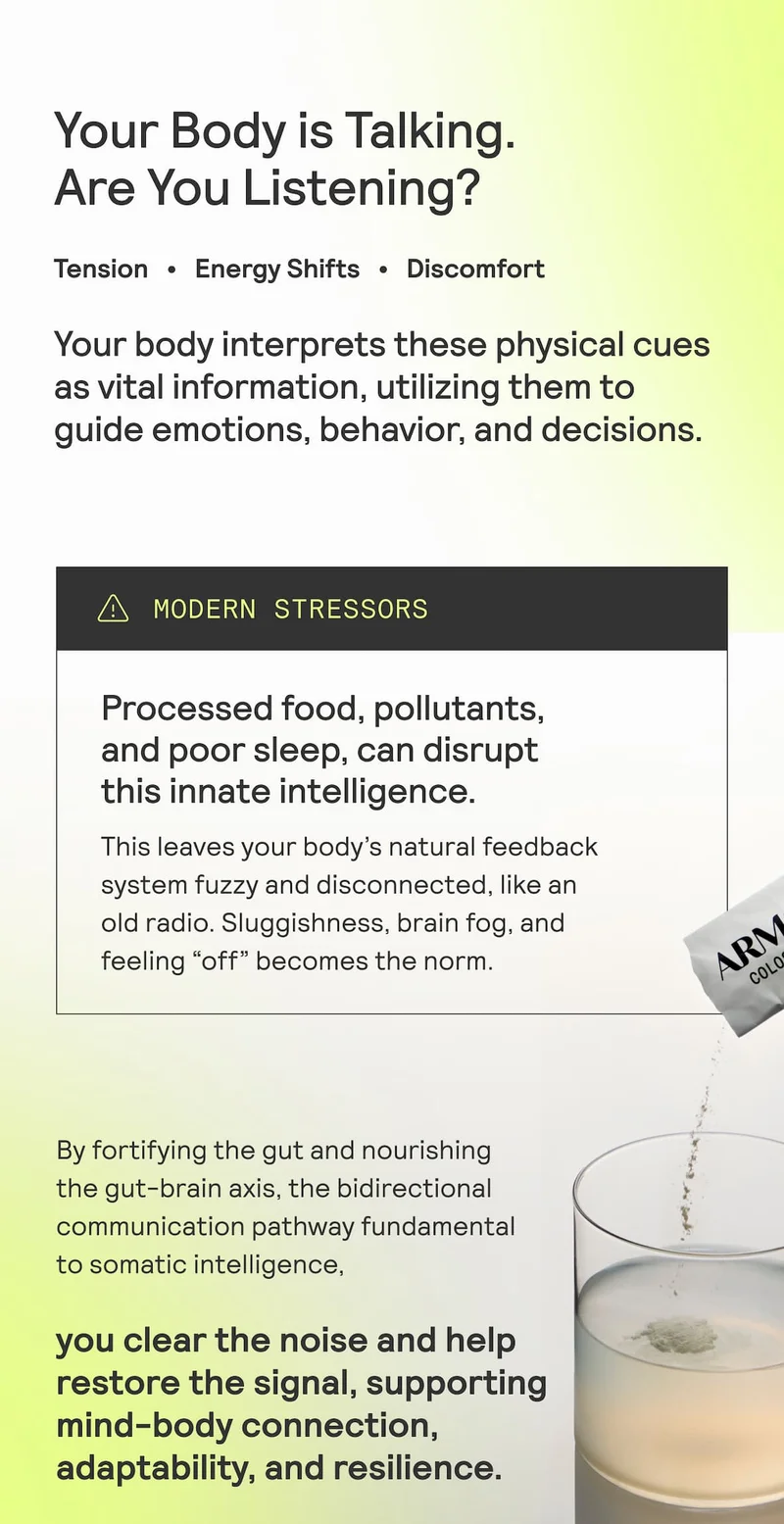 Graphic explaining somatic cues and how modern stressors disrupt gut-brain communication; ARMRA helps restore balance.