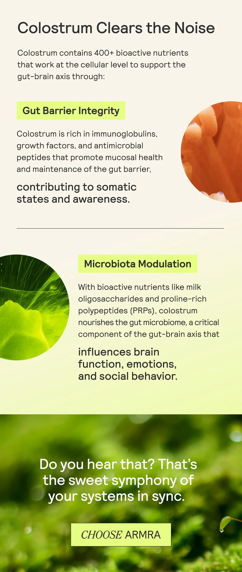 ARMRA infographic showing how colostrum supports gut barrier and microbiota to enhance brain and emotional health.