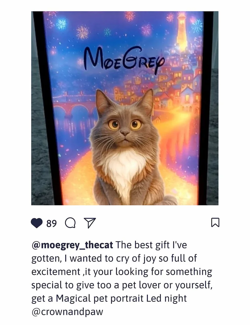 @moegrey_thecat The best gift I've gotten, I wanted to cry of joy so full of excitement ,it your looking for something special to give too a pet lover or yourself, get a Magical pet portrait Led night @crownandpaw