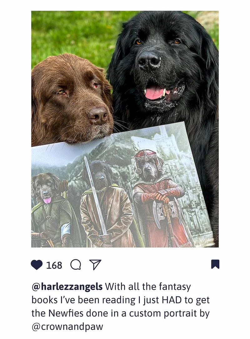 @harlezzangels With all the fantasy books I’ve been reading I just HAD to get the Newfies done in a custom portrait by @crownandpaw
