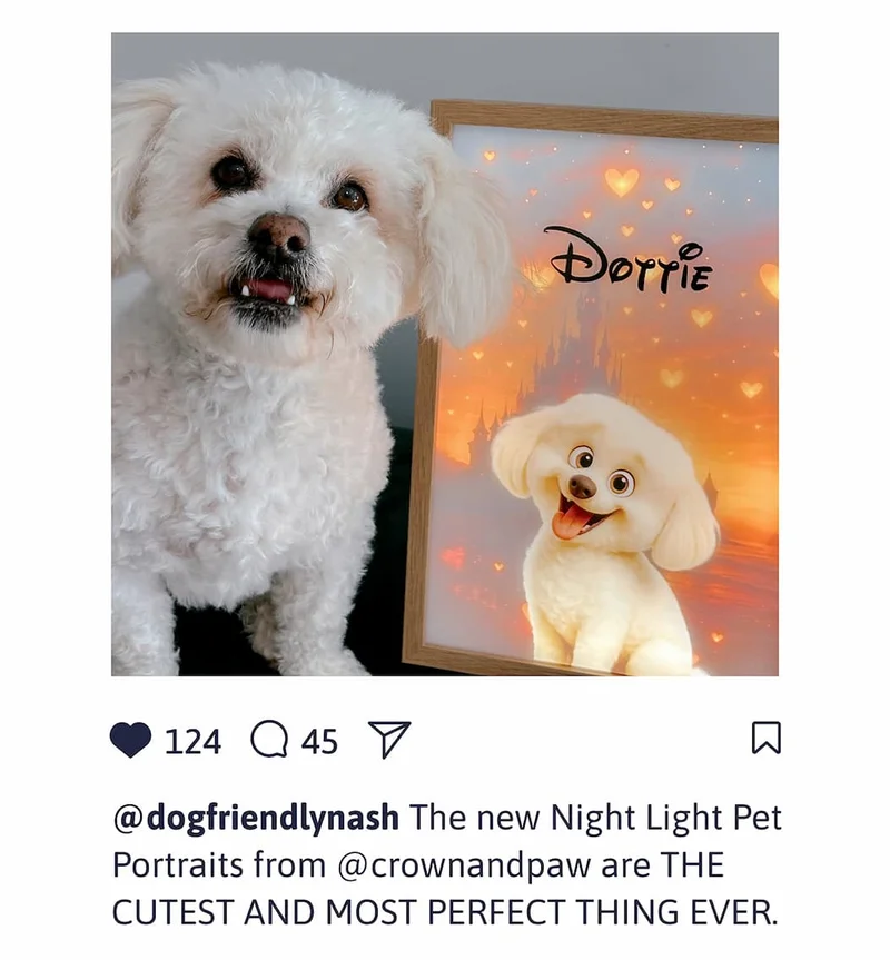 @dogfriendlynash The new Night Light Pet Portraits from @crownandpaw are THE CUTEST AND MOST PERFECT THING EVER.