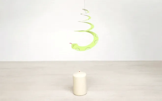 Spinning Spiral Snake