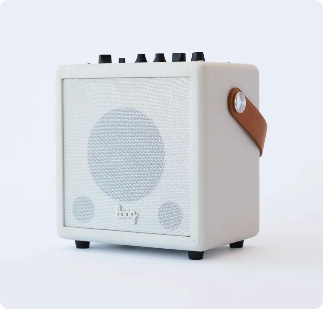 loog mini amp pro