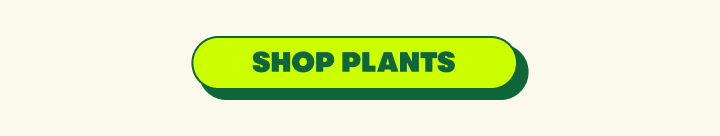 Shop plants