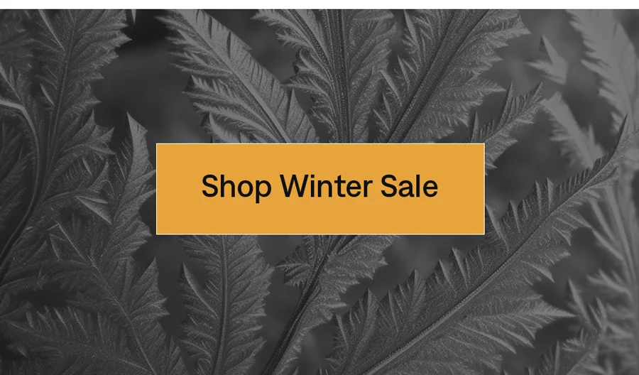 Shop Winter Sale