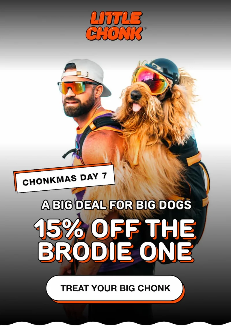 A BIG DEAL FOR BIG DOGS 15% OFF THE BRODIE ONE 15% OFF THE BRODIE ONE