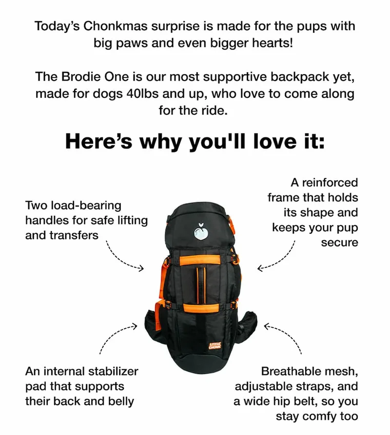 Here’s why you'll love it: