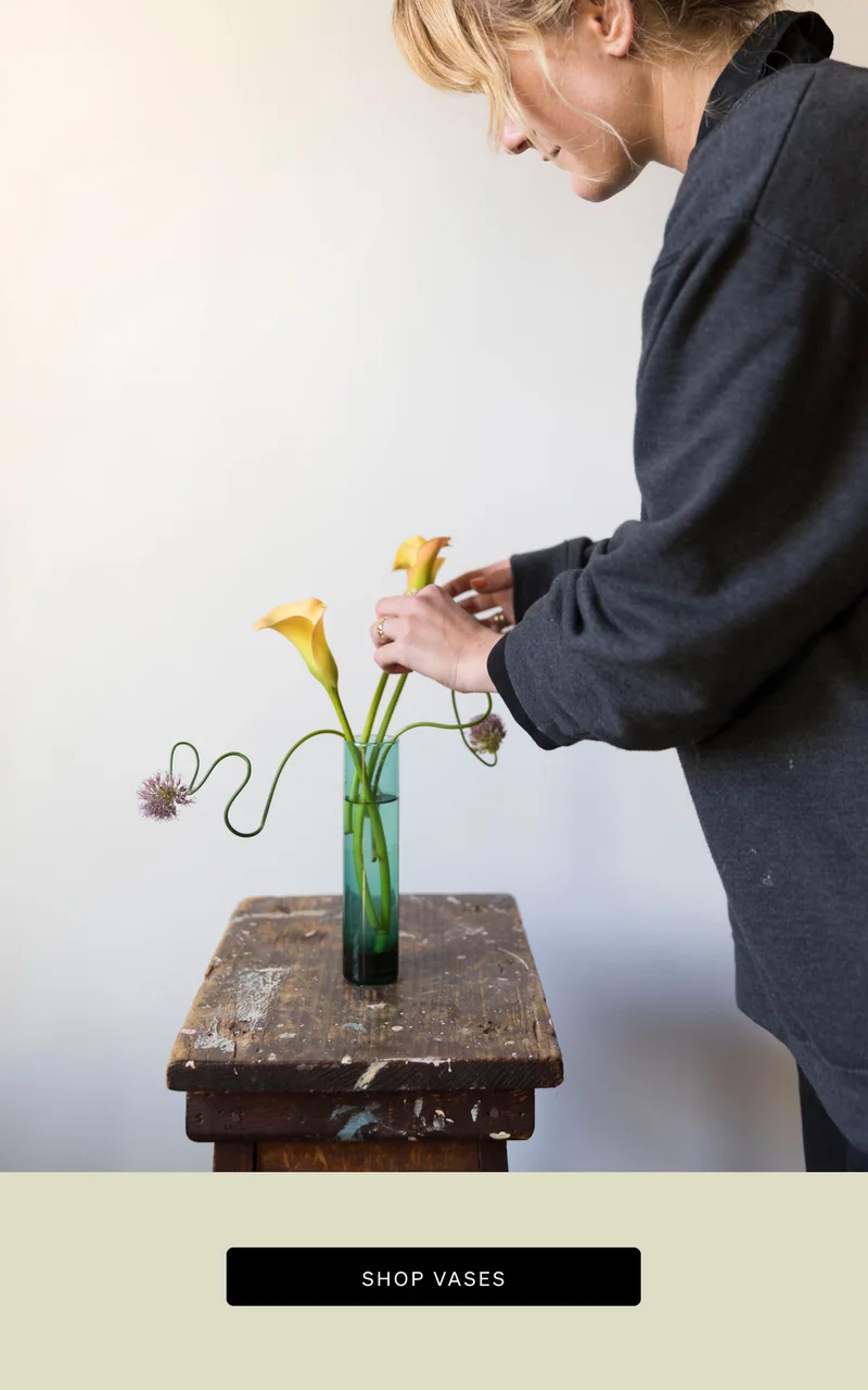 Shop Vases
