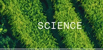 Science