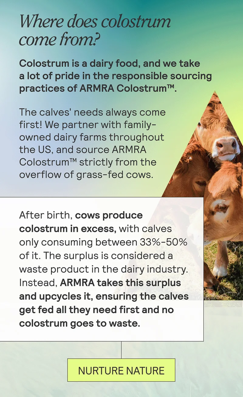 Where does colostrum come from? + Colostrum is a dairy food, and we take a lot of pride in the responsible sourcing practices of ARMRA Colostrum™. The calves' needs always come first! We partner with family-owned dairy farms throughout the US and source ARMRA Colostrum™ strictly from the overflow of grass-fed cows.   After birth, cows produce colostrum in excess, with calves only consuming between 33%-50% of it. The surplus is considered a waste product in the dairy industry. Instead, ARMRA takes this surplus and upcycles it, ensuring the calves get fed all they need first and no colostrum goes to waste.