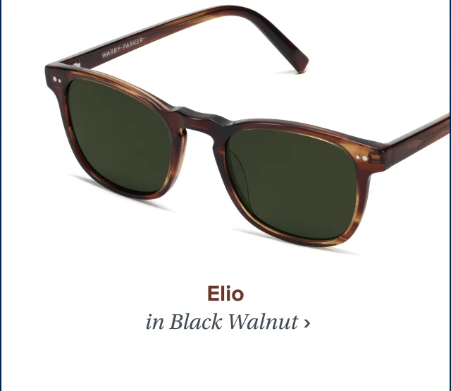 Elio in Black Walnut