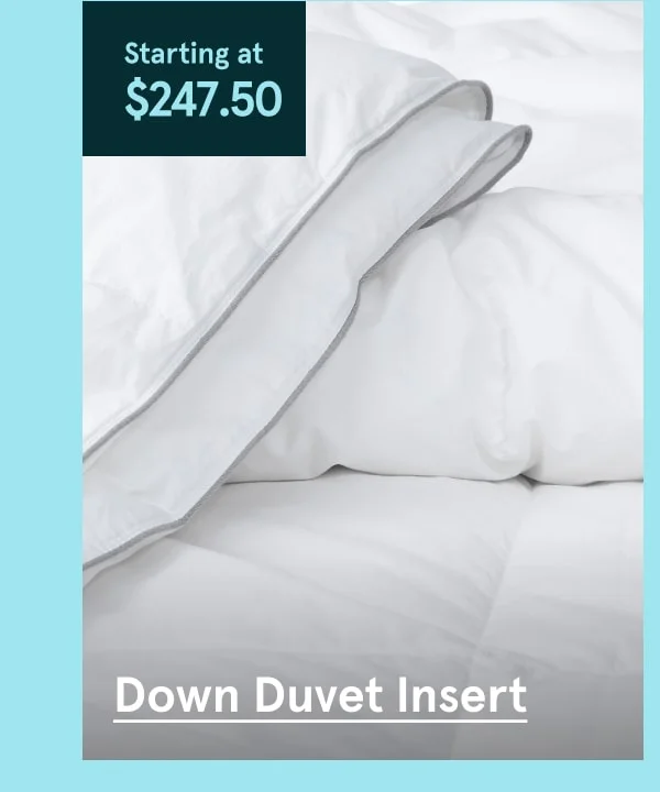 Down Duvet Insert