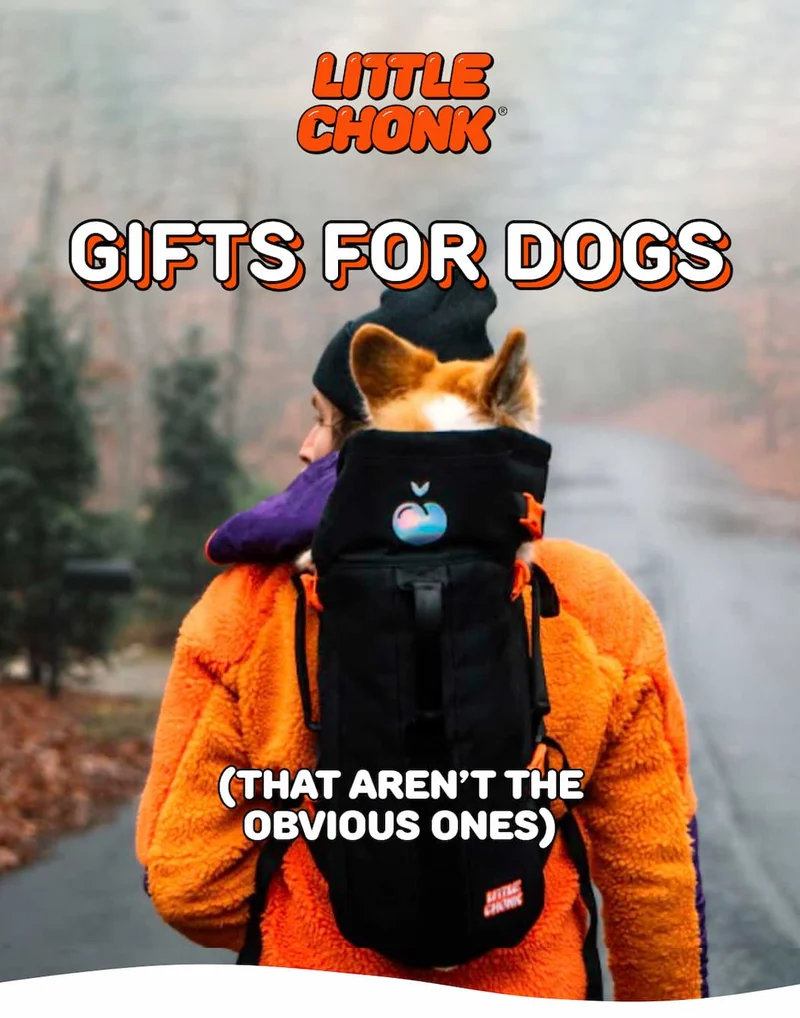 GIFTS FOR DOGS GIFTS FOR DOGS